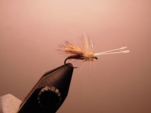 Coulee Caddis Tan