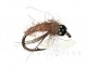 Cranefly Larva