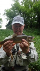 Great Brook Trout