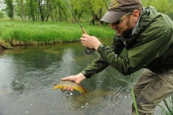 Scud caught trout on a rainy day.