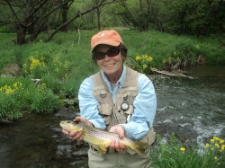 Driftless Brown Trout