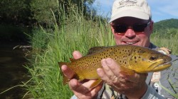 Springtime Driftless Brown