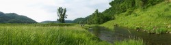 Driftless Scenery