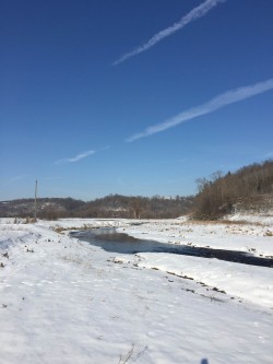 Winter Season in the Driftless