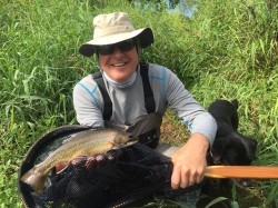 Trico Caught Summer Brook Trout