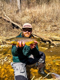 Post snowmelt brown